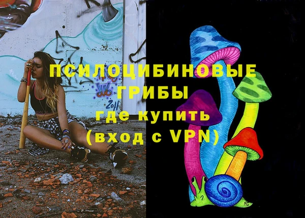 соль ск Карталы
