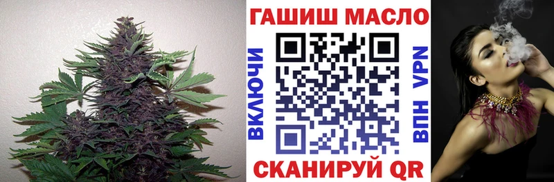 Купить где Изобильный ТГК THC oil