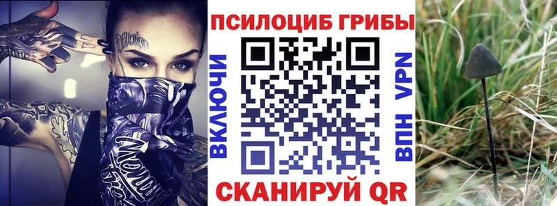 Галлюциногенные грибы прущие грибы  Купить  Изобильный 
